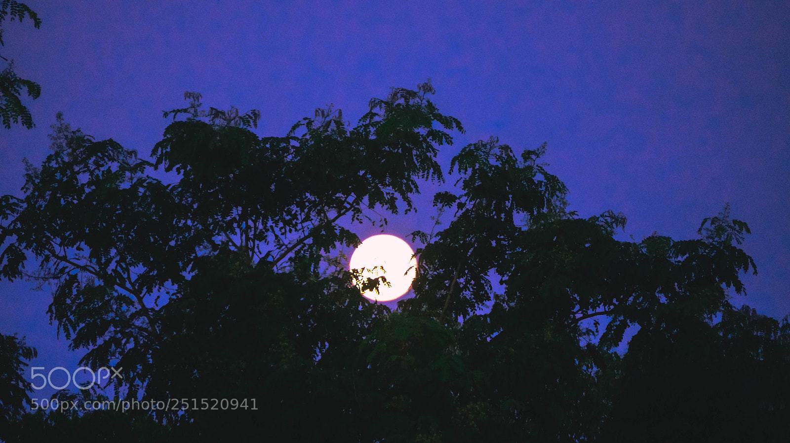 Sony Alpha NEX-5T sample photo. Dsc photography