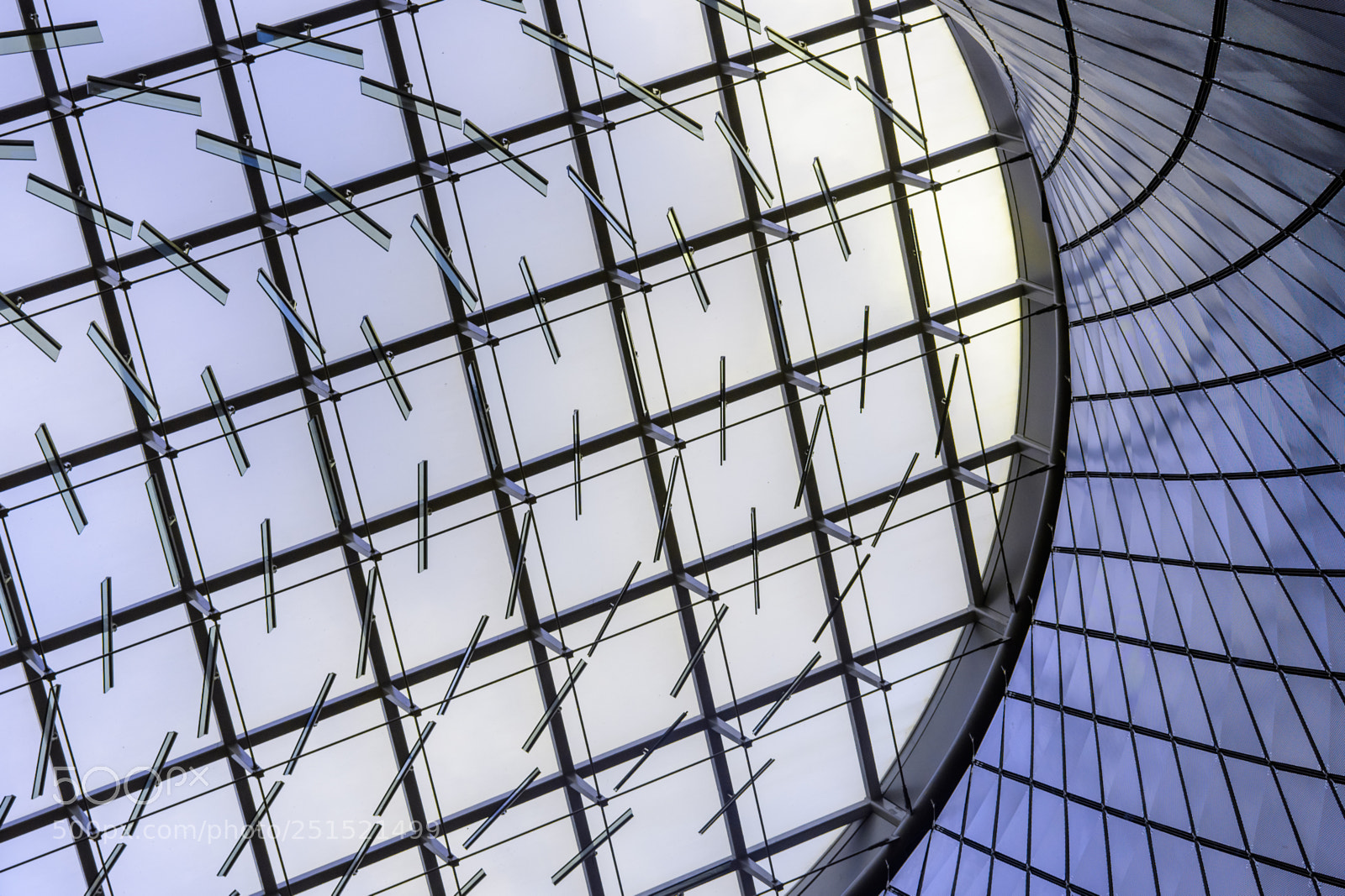 Nikon D500 sample photo. Ceiling of abstraction photography
