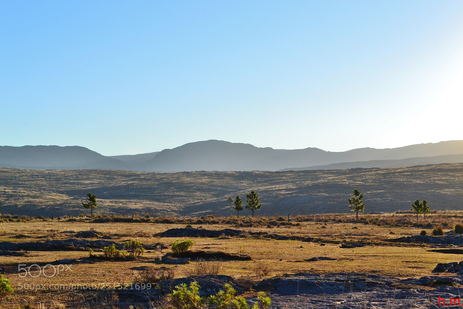 Nikon D3100 sample photo. Dfco photography