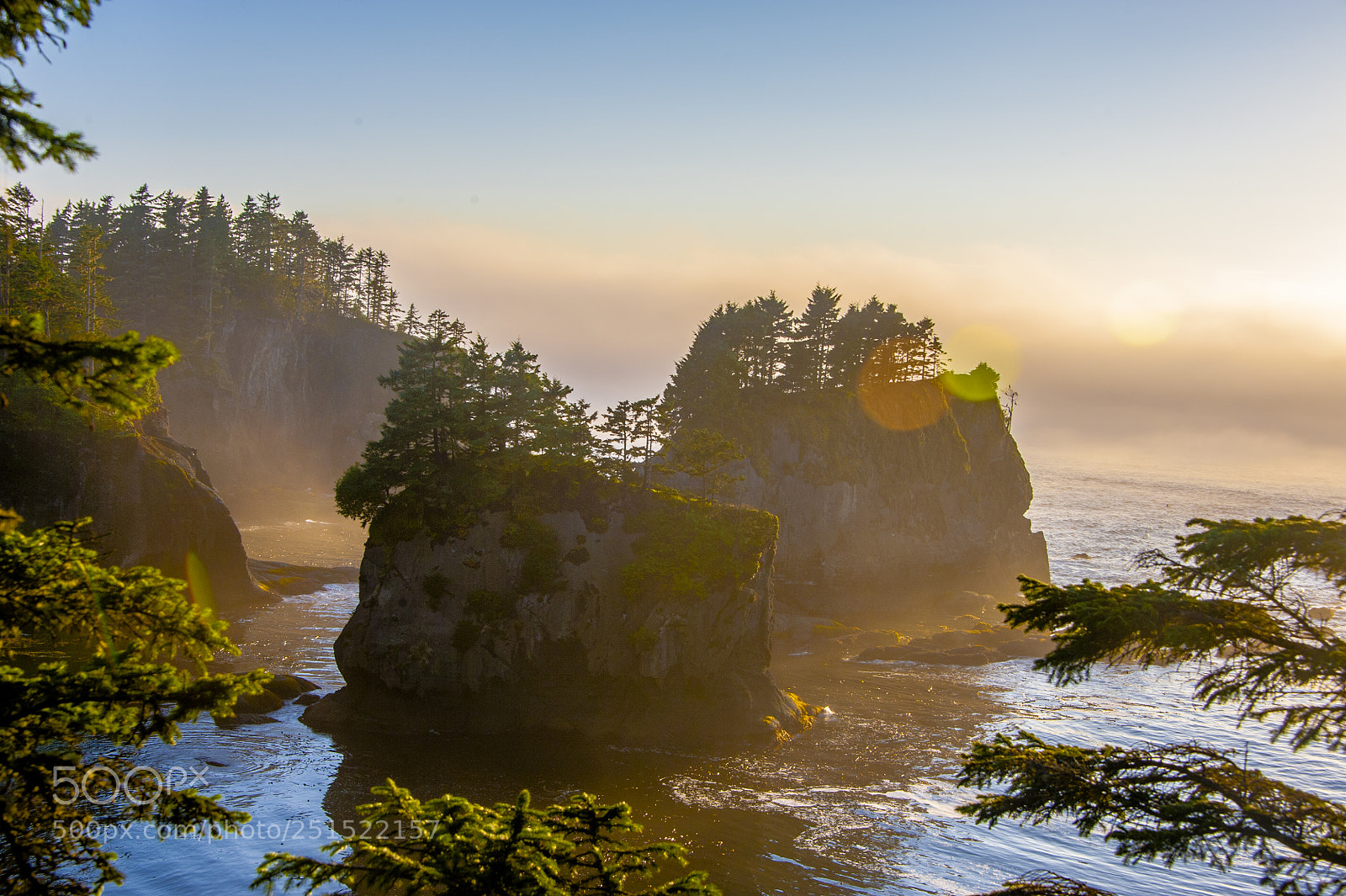 Nikon D700 sample photo. Sunset at cape flattery photography