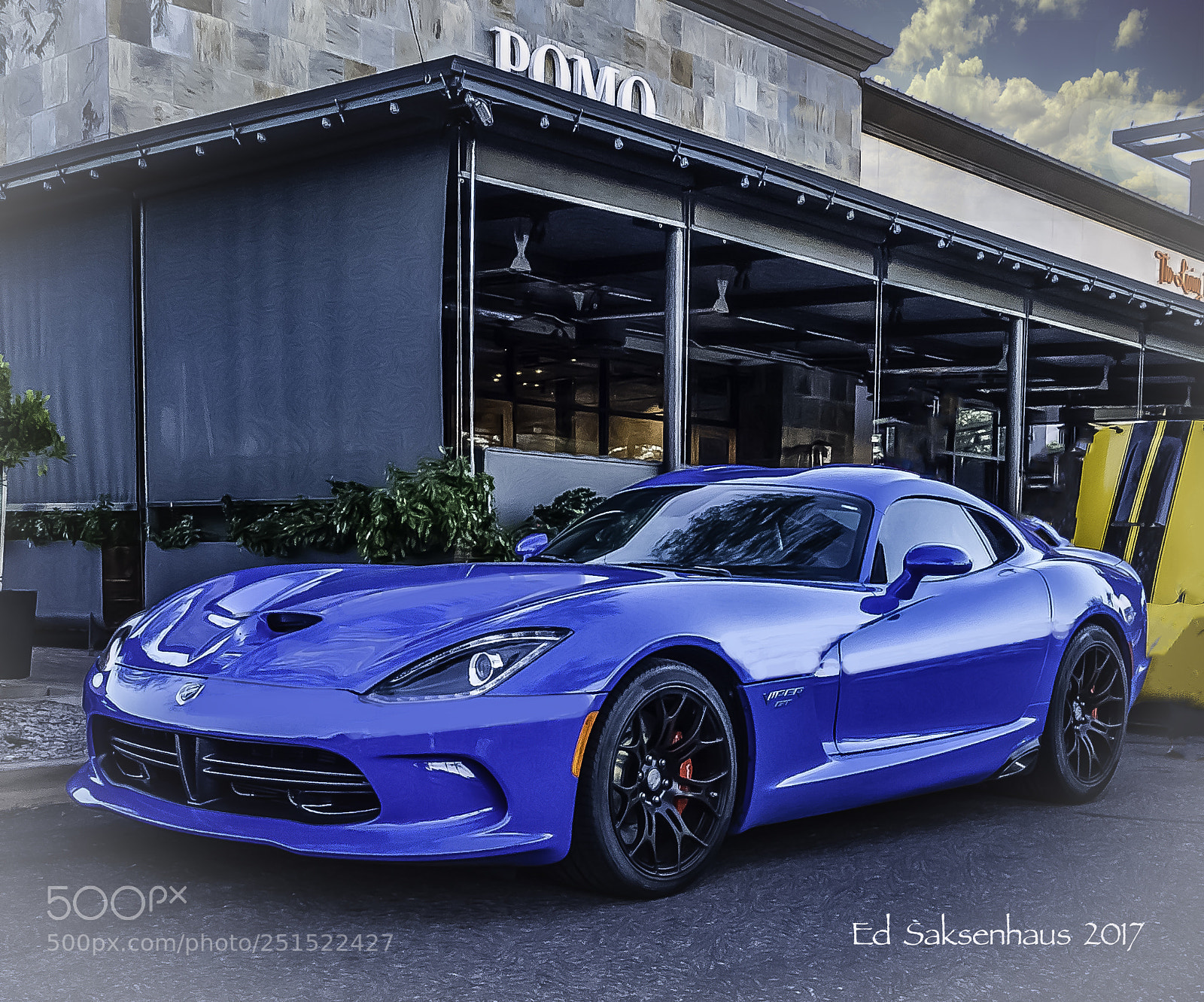 Panasonic Lumix DMC-FZ1000 sample photo. Blue viper photography