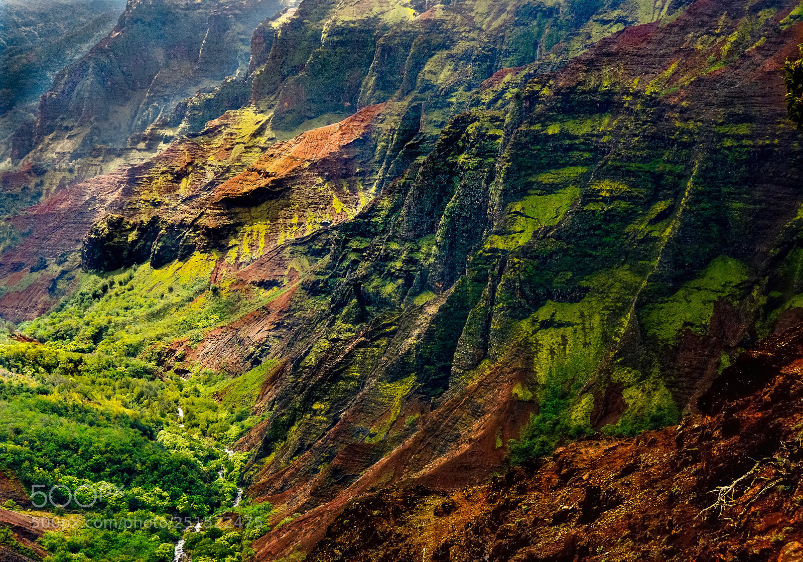 Nikon D7100 sample photo. Cliffs of waimea canyon photography