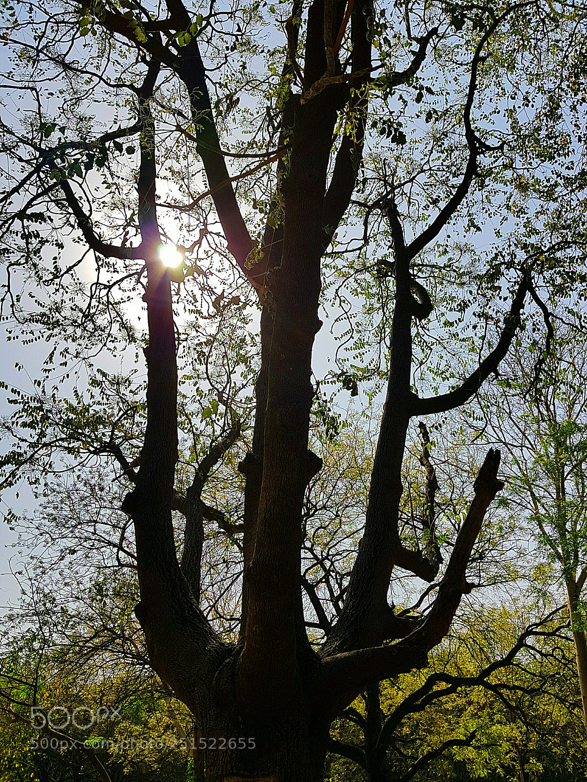 Samsung Galaxy S8 sample photo. Sun wink photography