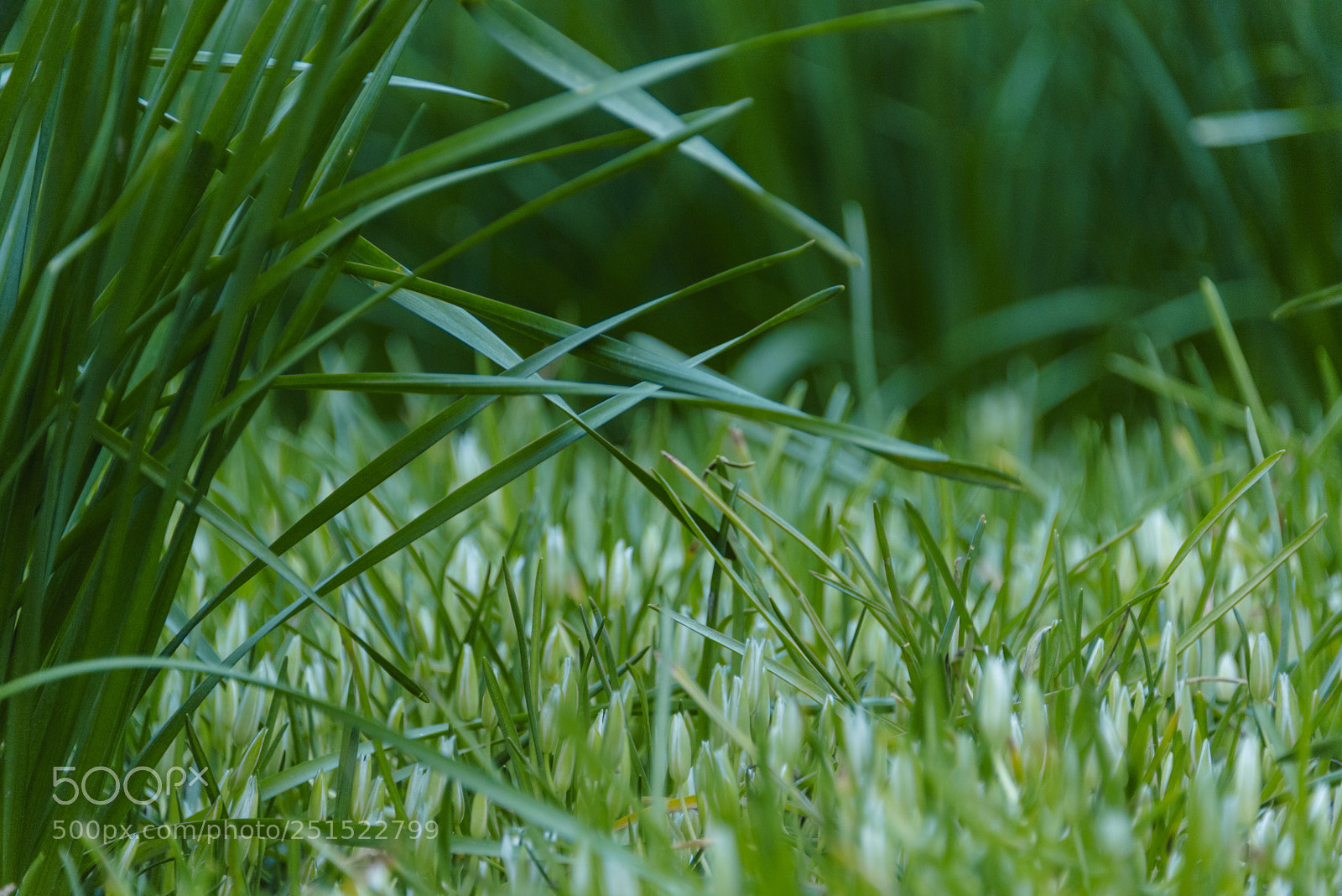 Nikon D800 sample photo. Assembly point photography