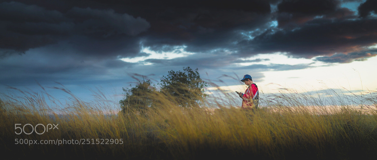 Sony a7R II sample photo. Conectados  photography