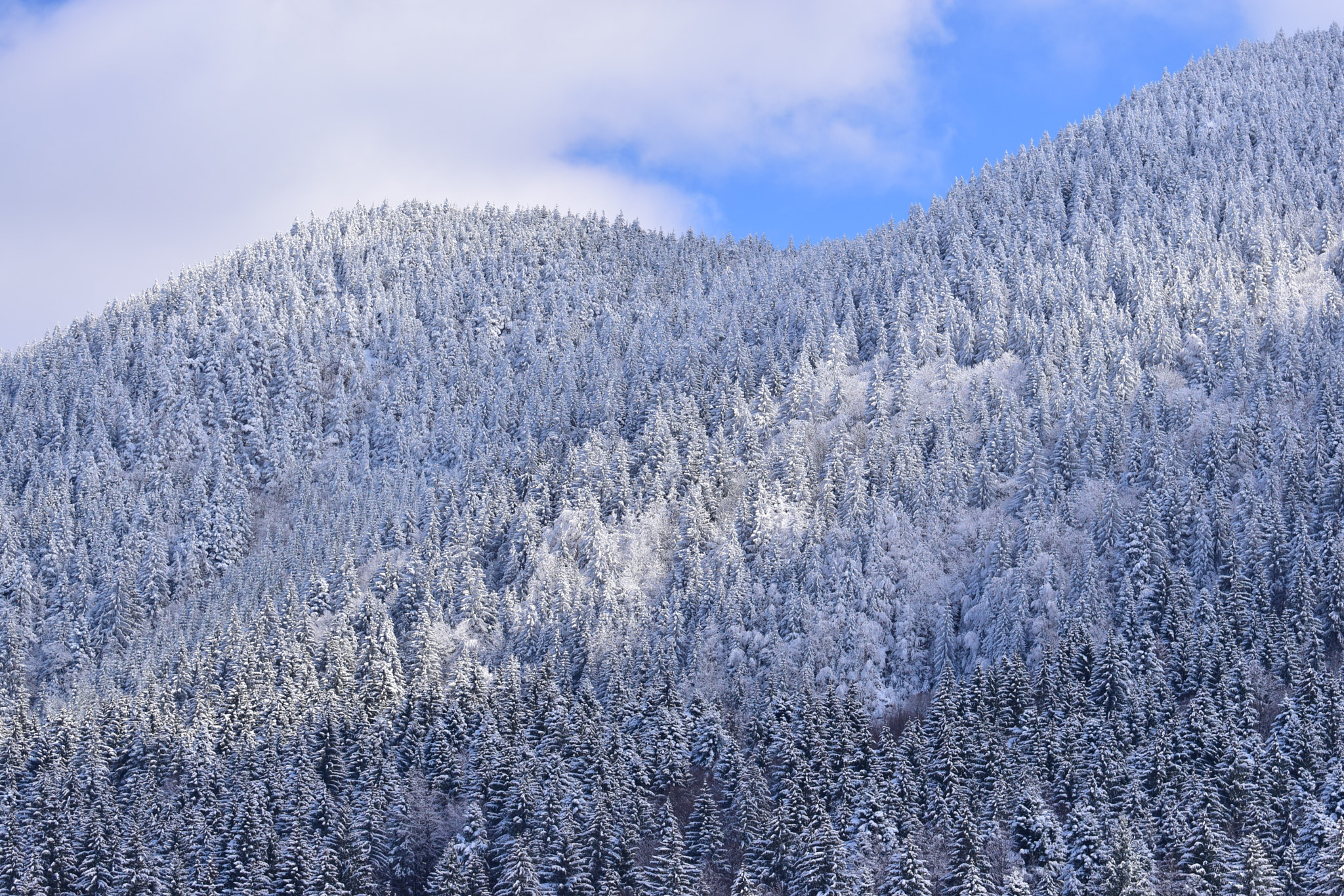 Nikon D5300 sample photo. Snowscape photography