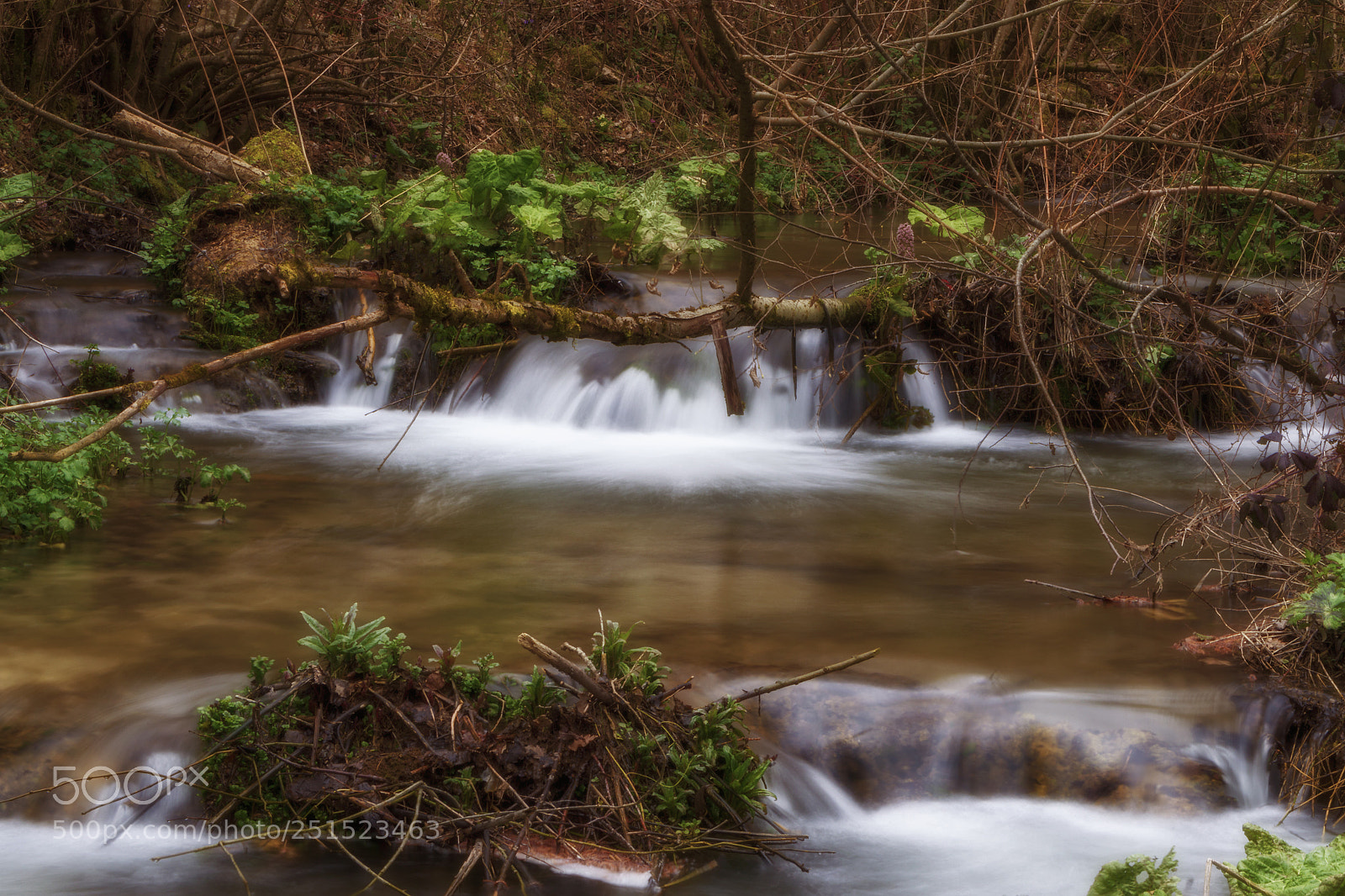 Nikon D3200 sample photo. Cascatina.jpg photography