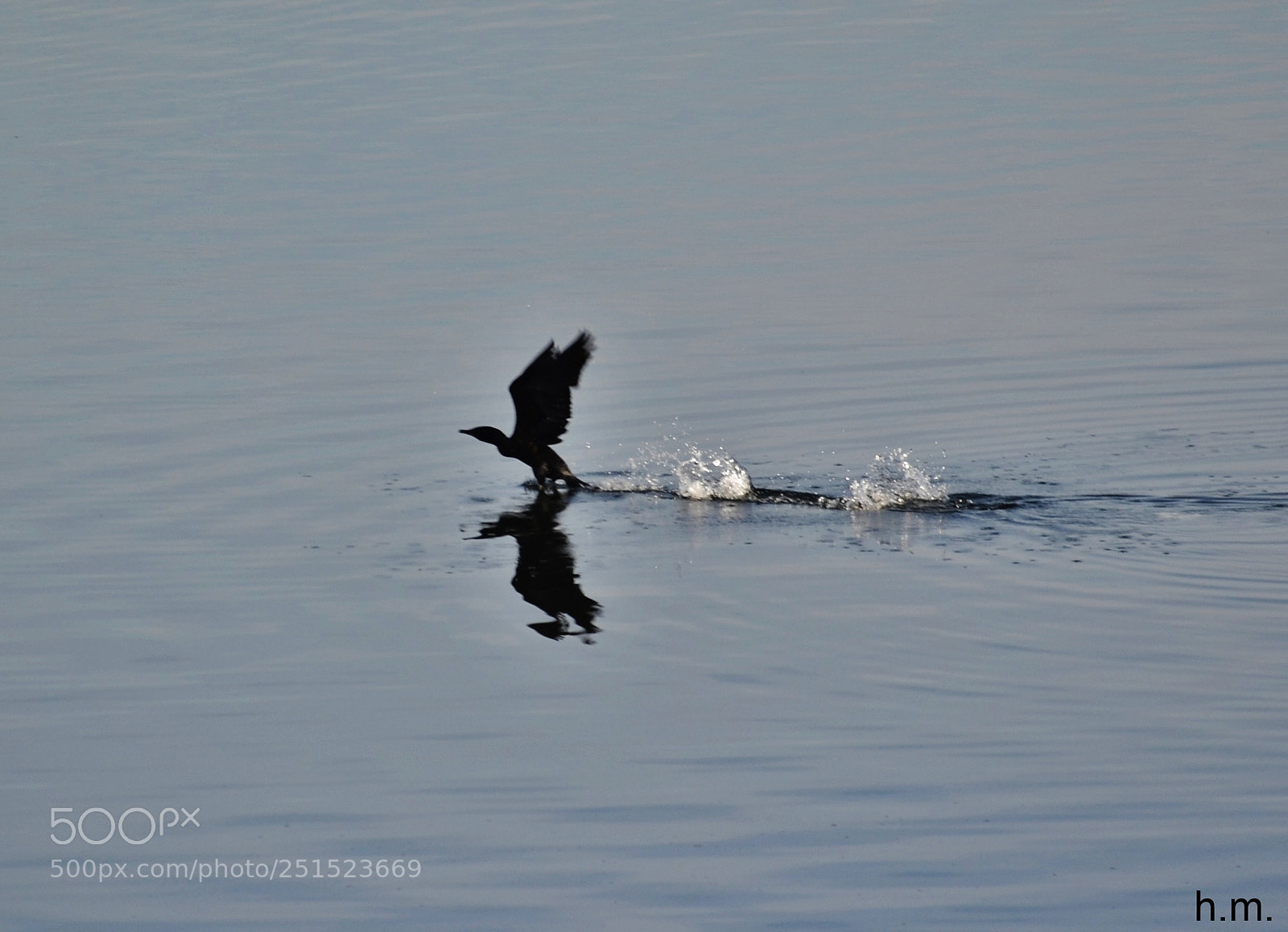 Nikon D3100 sample photo. Fdd o () photography