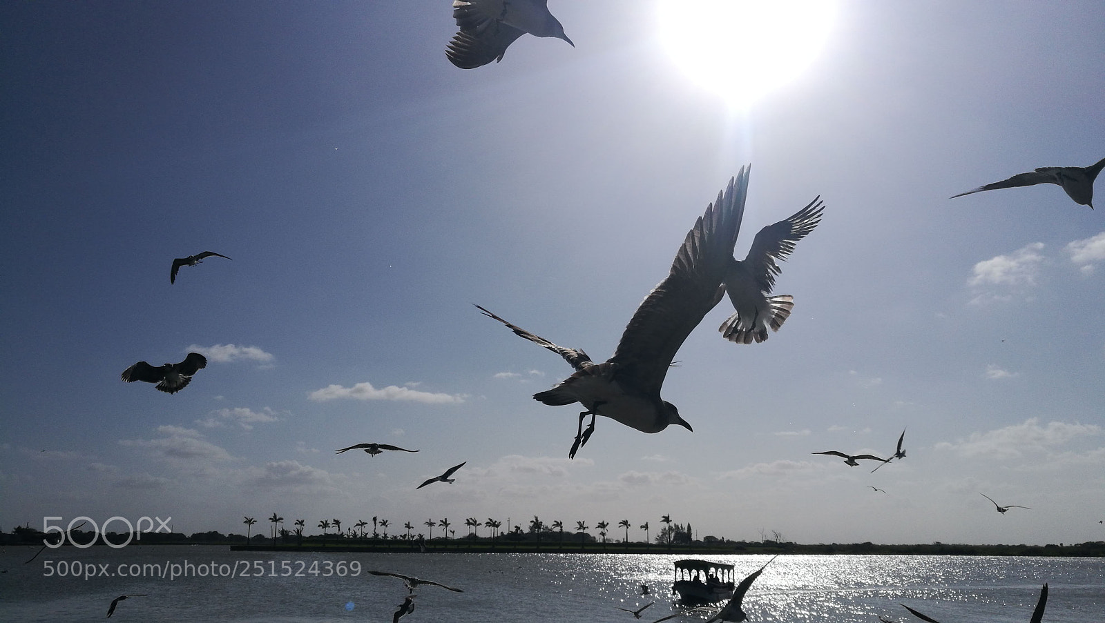 HUAWEI P9 sample photo. Atardecer en tlacotalpan photography