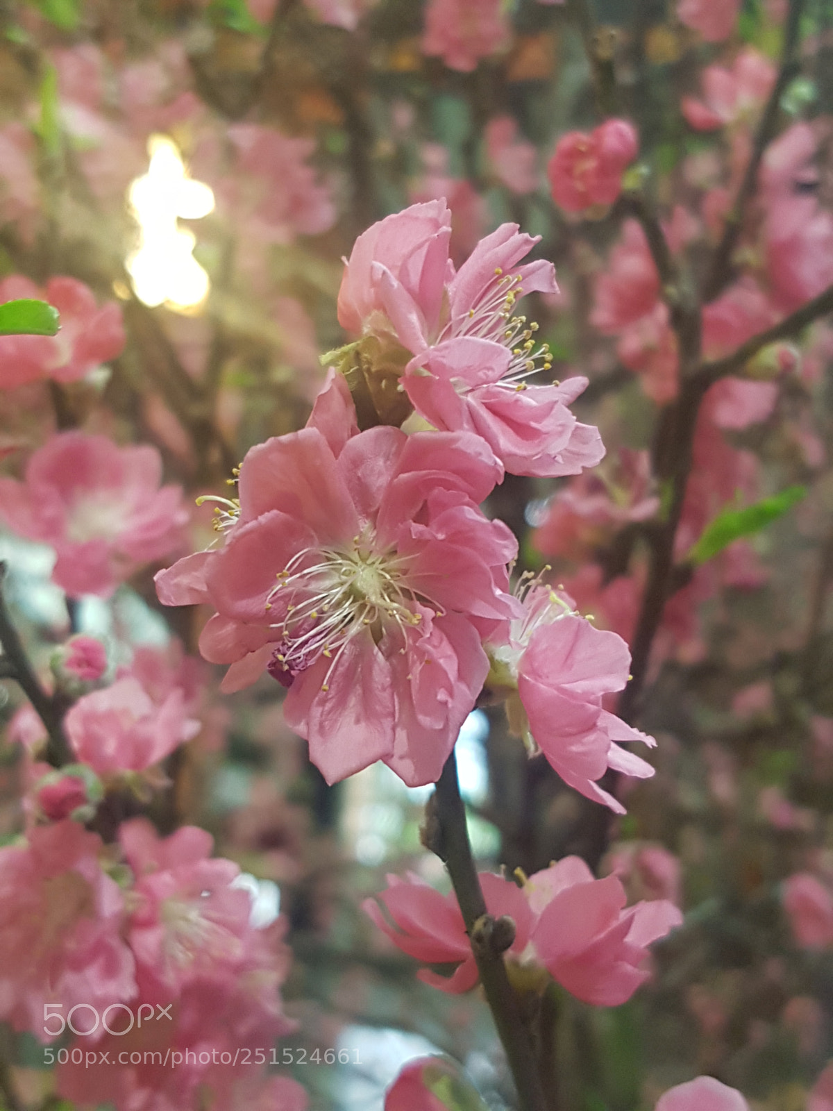 Samsung Galaxy S7 Edge sample photo. Untitled photography