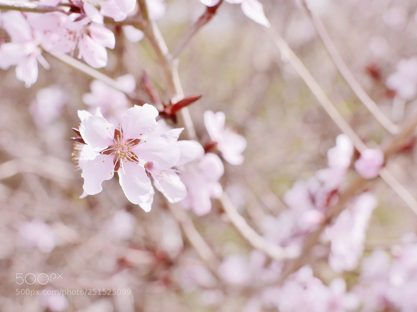 Nikon D7200 sample photo. Untitled photography