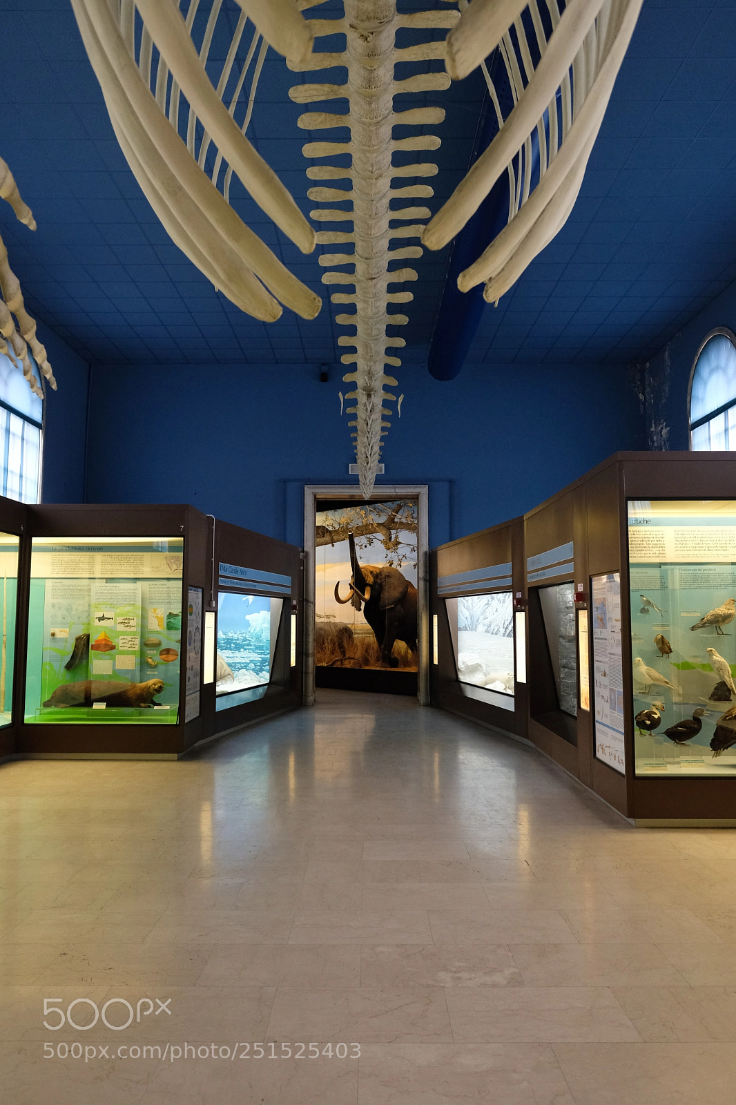 Fujifilm X-T2 sample photo. Il museo civico di photography
