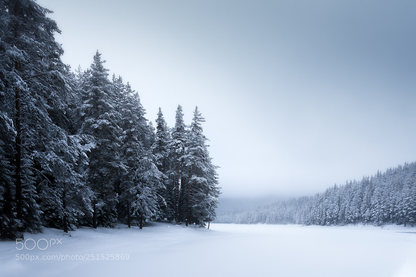 Nikon D600 sample photo. Frozen world photography