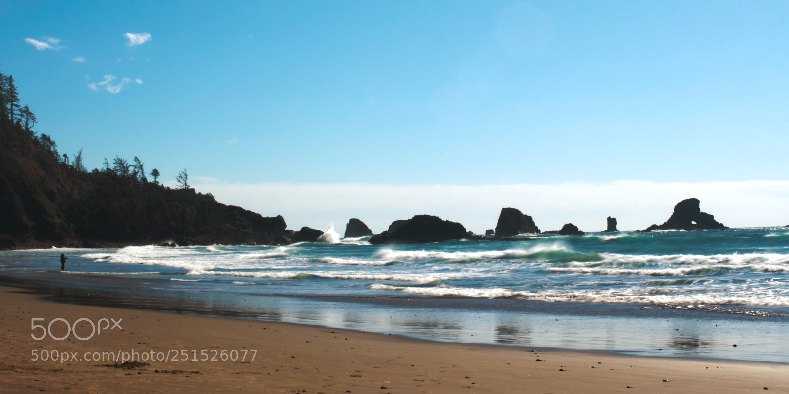Nikon D7200 sample photo. Indian beach oregon photography
