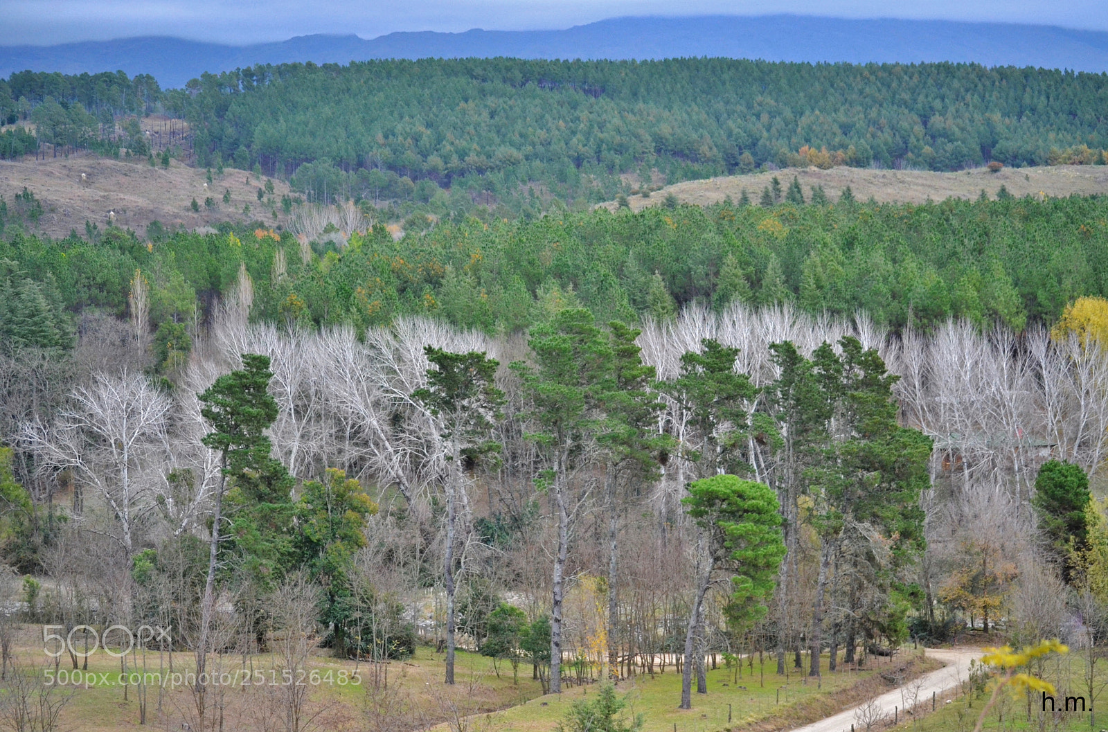 Nikon D3100 sample photo. Dadaao photography