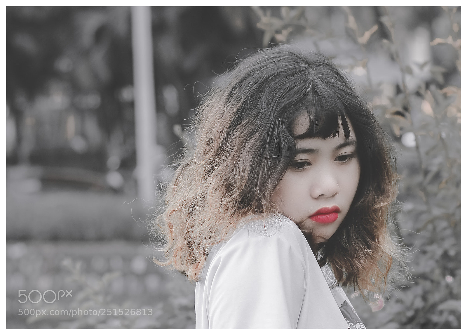 Canon EOS 60D sample photo. Mg photography