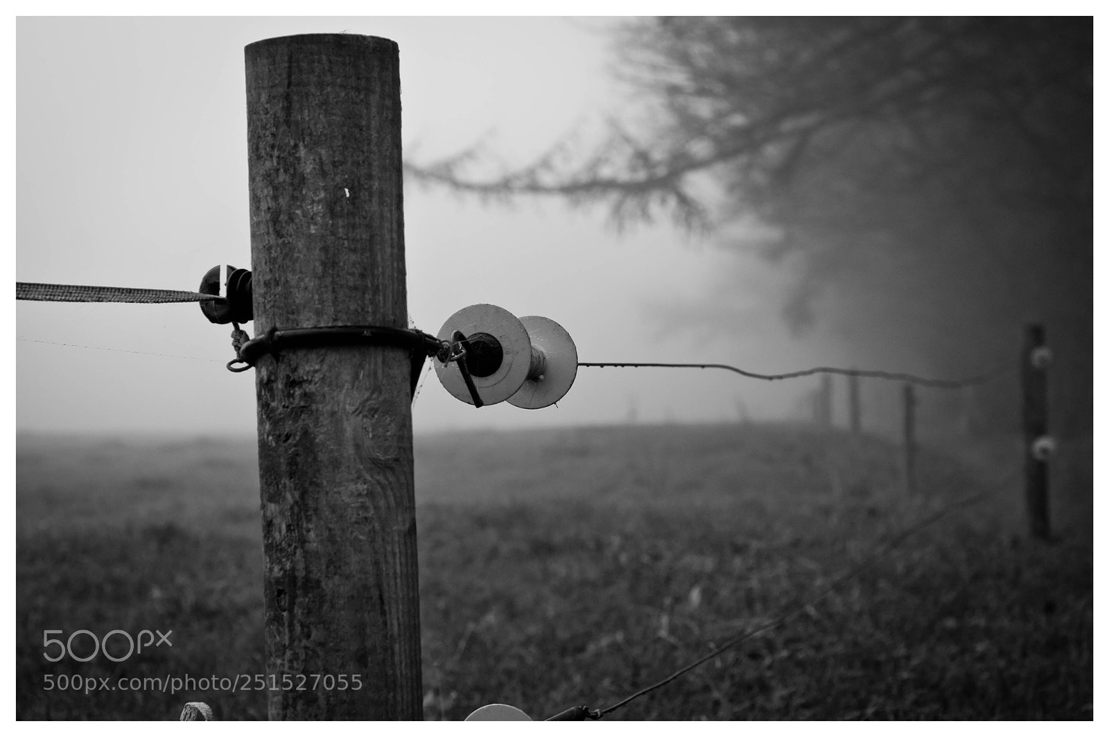 Nikon D300 sample photo. A foggy ireland photography