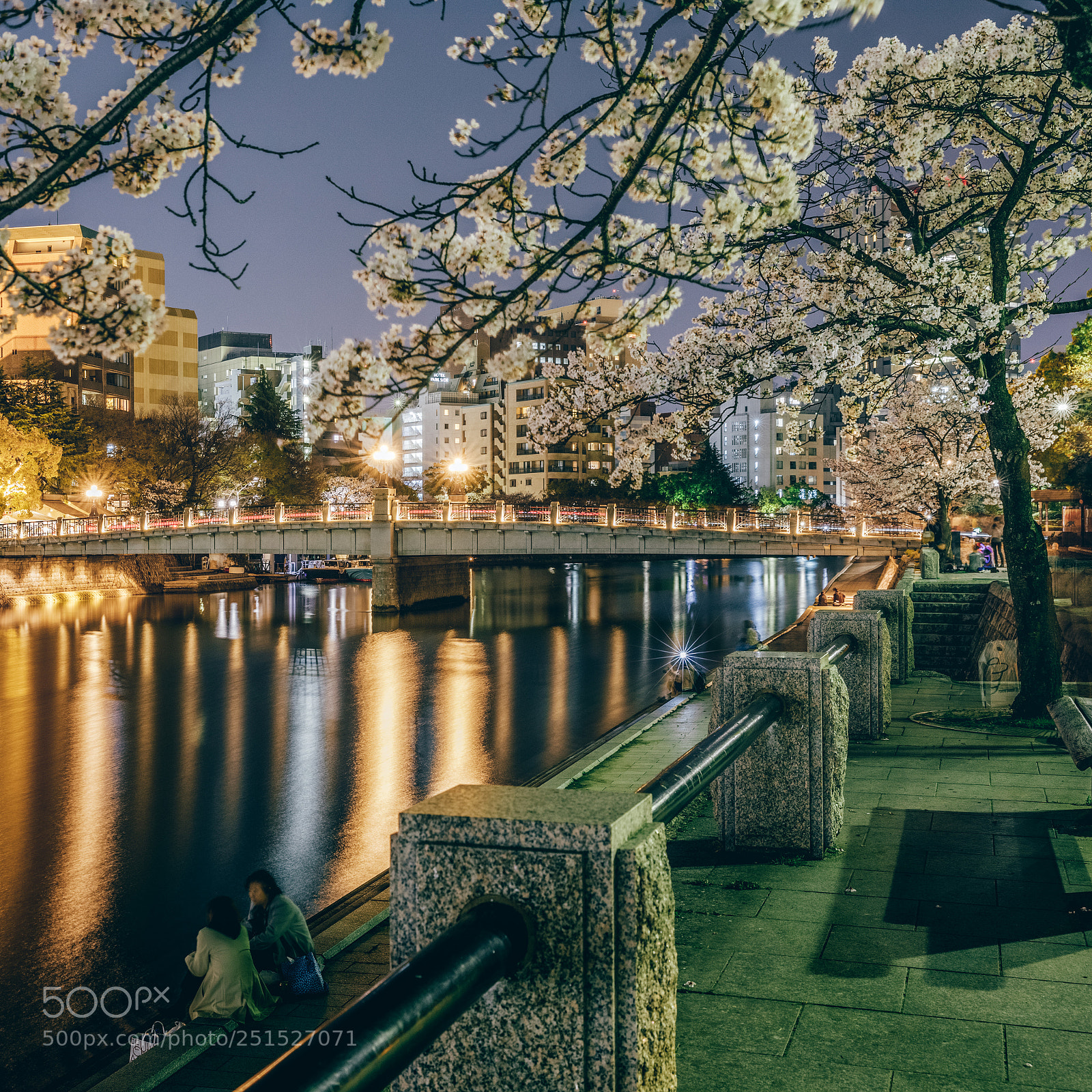 Canon EOS 5D Mark IV sample photo. Sakura in peace memorial photography