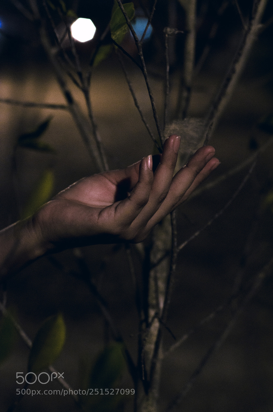 Nikon D5100 sample photo. Hand photography
