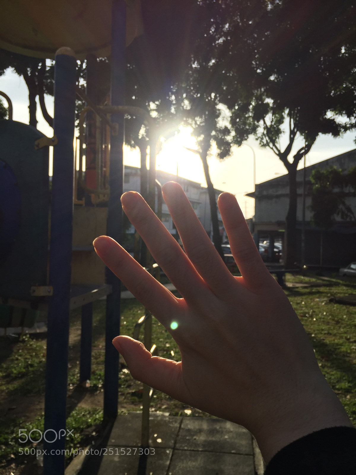 Apple iPhone 6 sample photo. Untitled photography