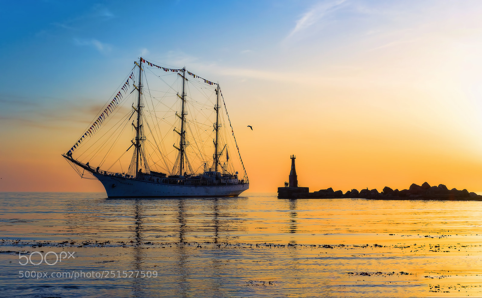 Sony Alpha DSLR-A850 sample photo. The training sailing ship photography