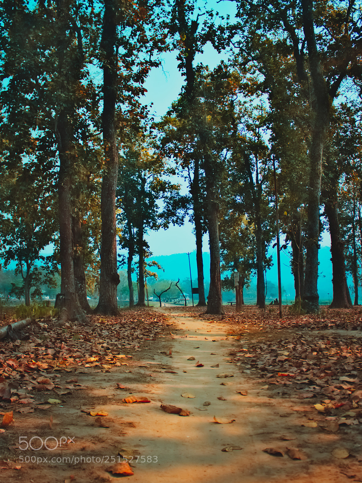 Canon EOS 700D (EOS Rebel T5i / EOS Kiss X7i) sample photo. Woods ii photography