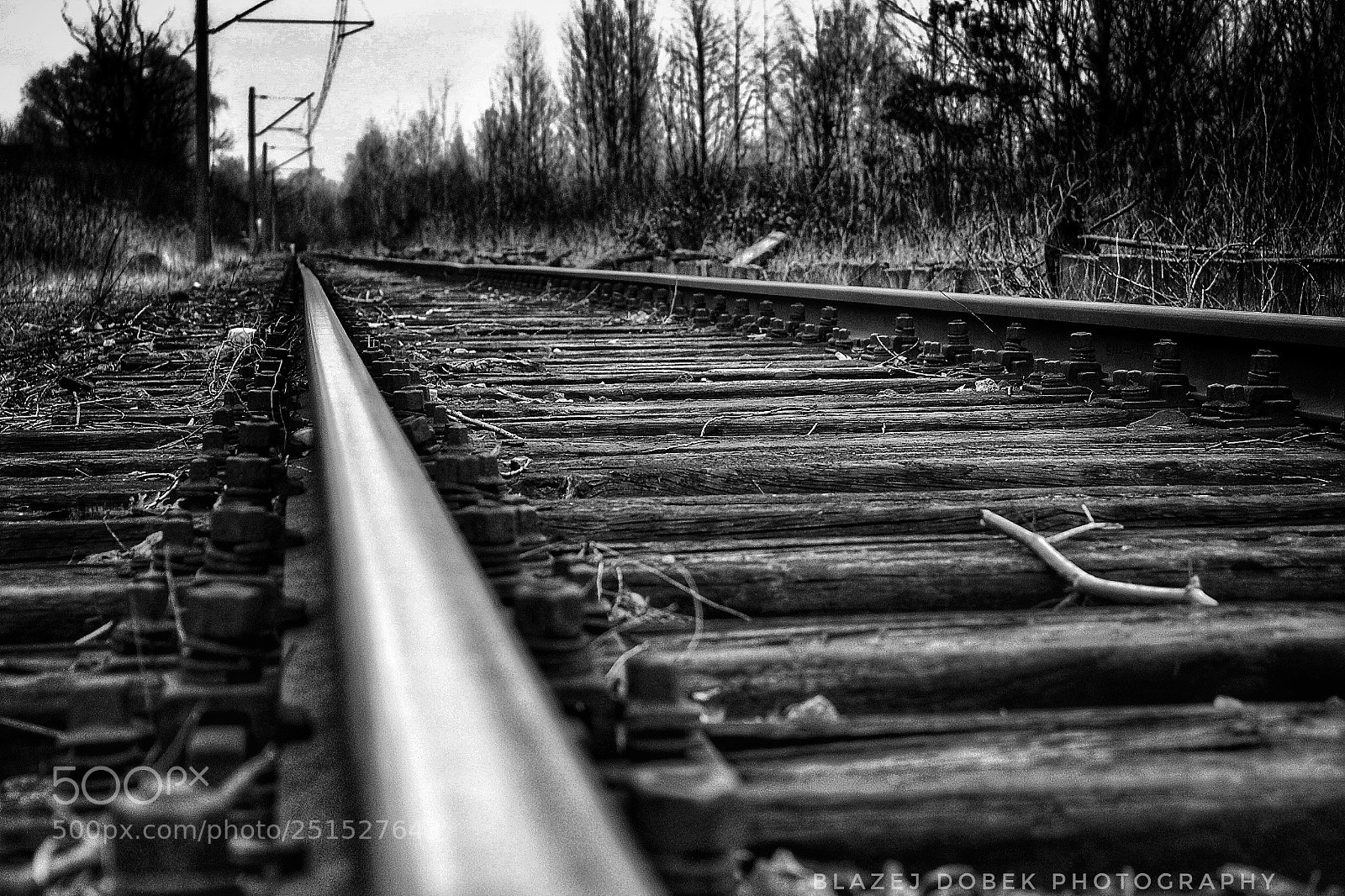 Canon EOS 1200D (EOS Rebel T5 / EOS Kiss X70 / EOS Hi) sample photo. Railroad tracks photography