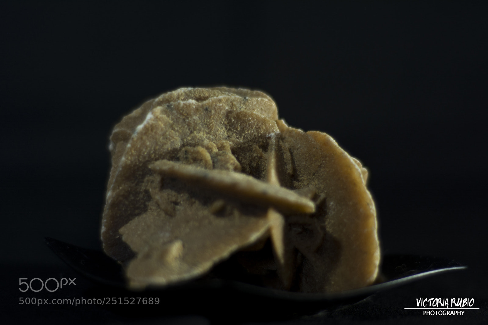 Nikon D5200 sample photo. Rosa del desierto photography