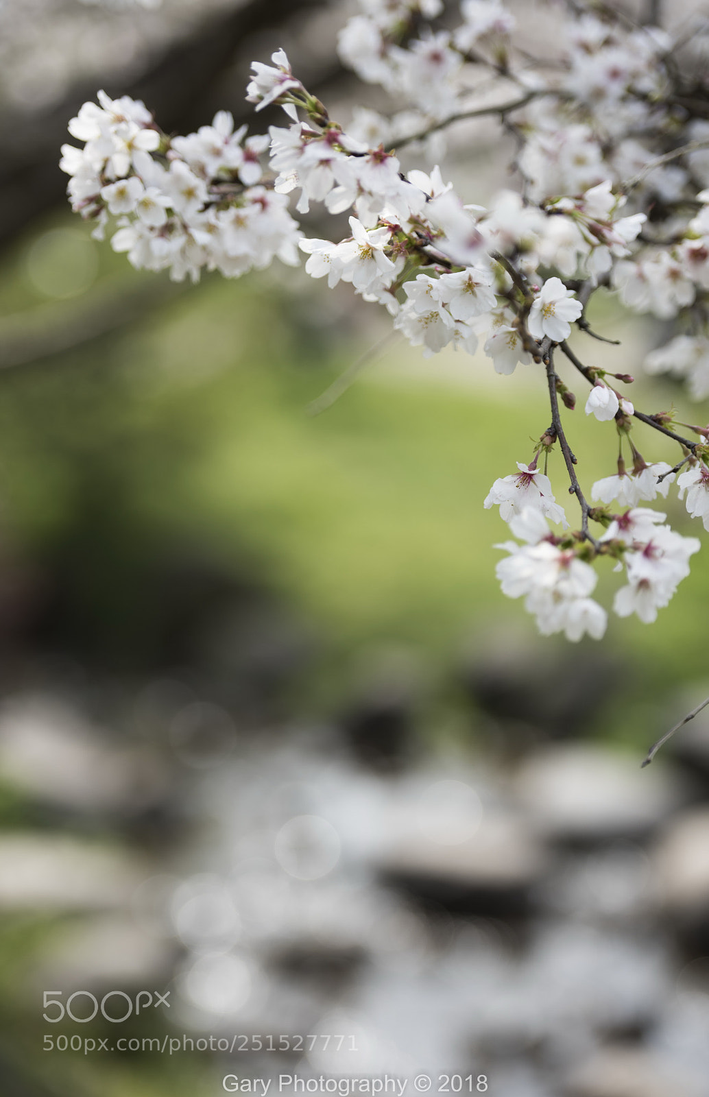 Nikon D810 sample photo. 潺潺流水 photography