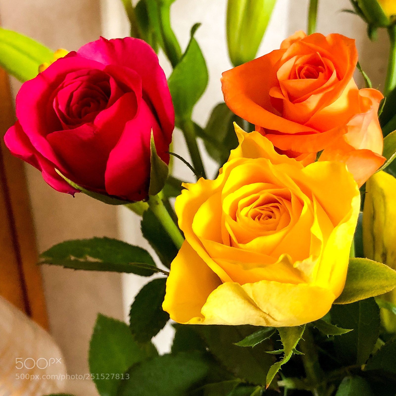 Apple iPhone 8 Plus sample photo. Three roses photography
