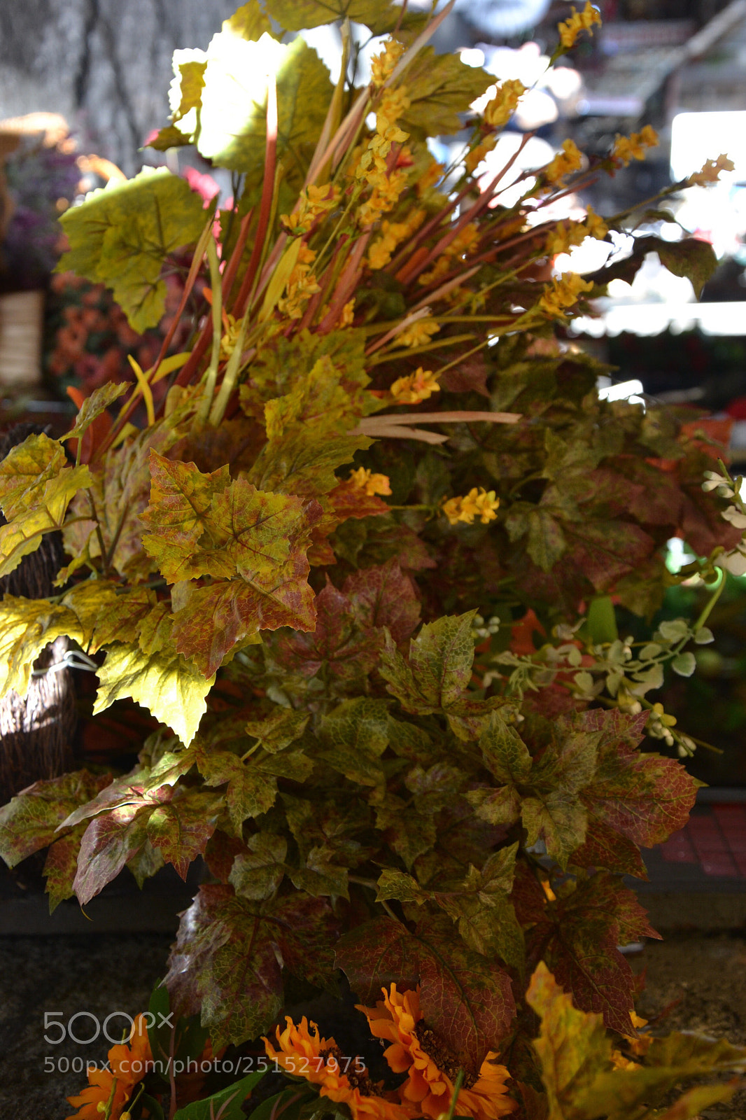 Nikon D3100 sample photo. Untitled photography