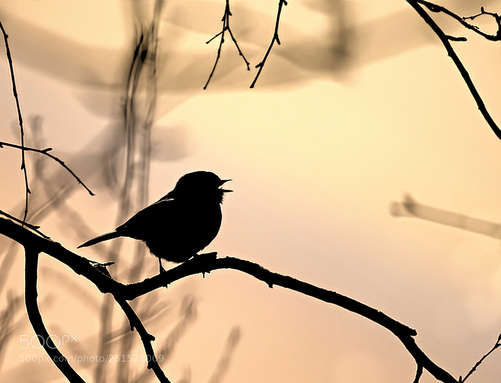 Sony Cyber-shot DSC-HX400V sample photo. Silhouette photography