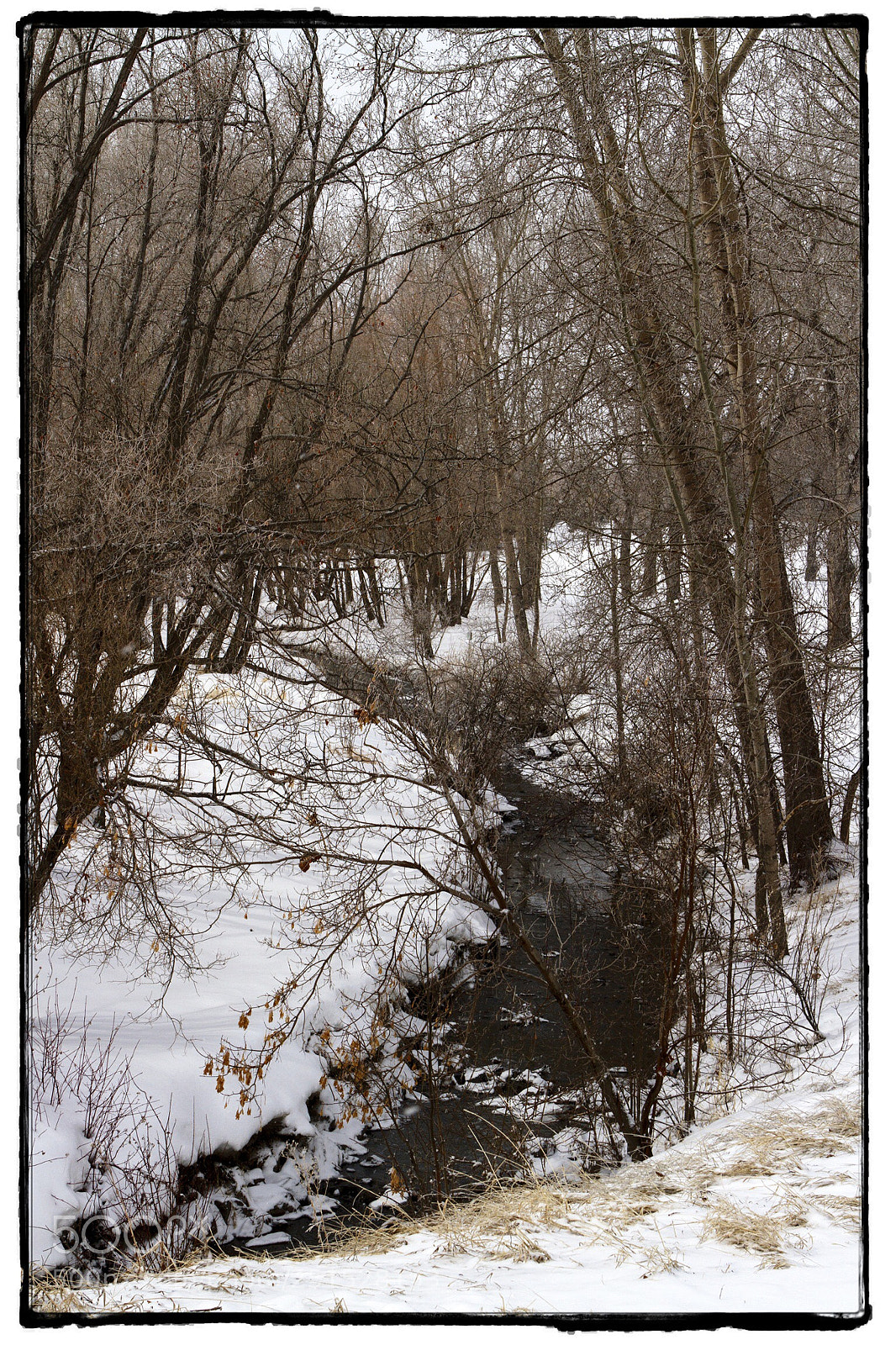 Canon EOS 7D sample photo. Creek in confederation park. photography