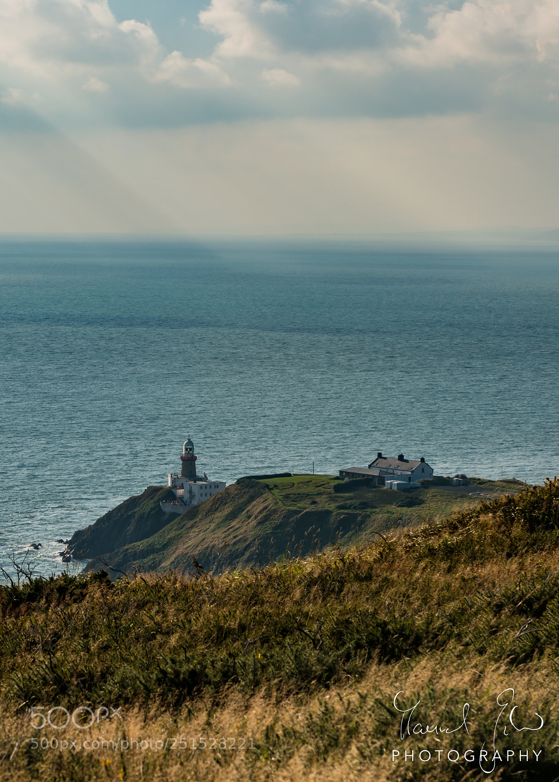Nikon D800 sample photo. Headland photography