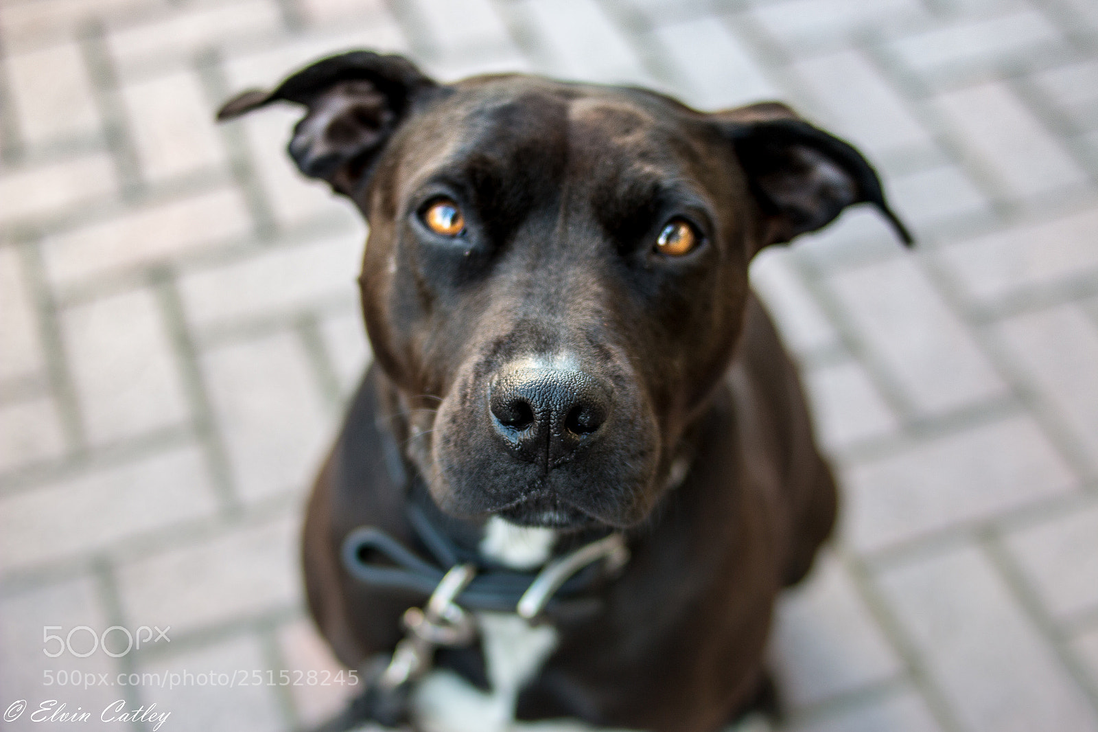 Canon EOS 70D sample photo. Diamond photography