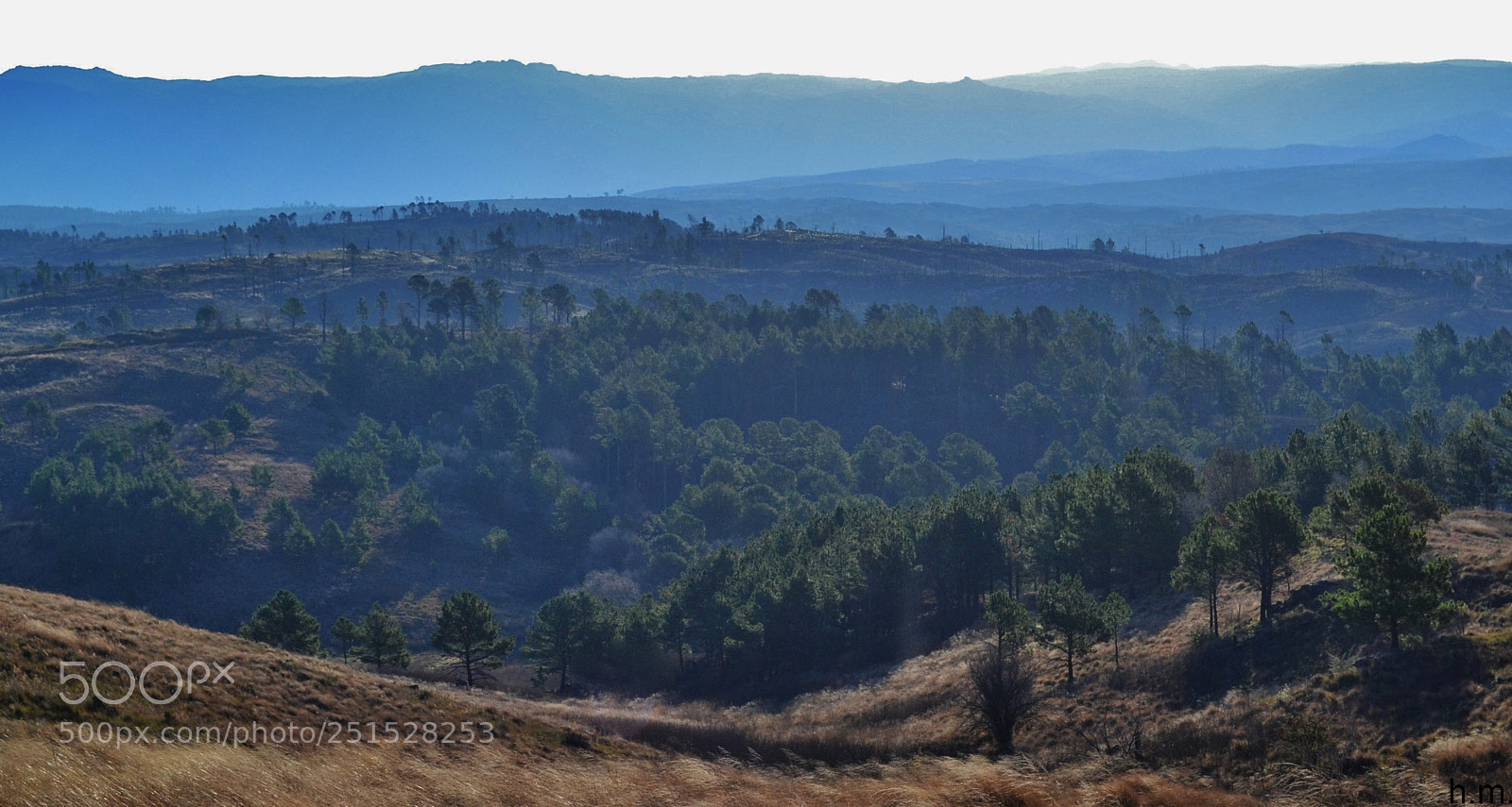 Nikon D3100 sample photo. B o photography