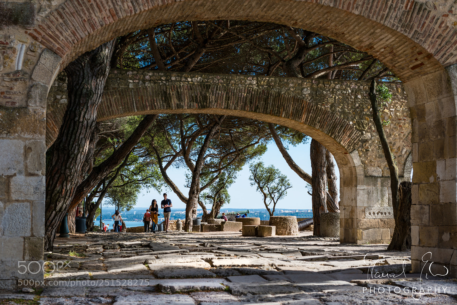 Nikon D800 sample photo. Relaxed photography