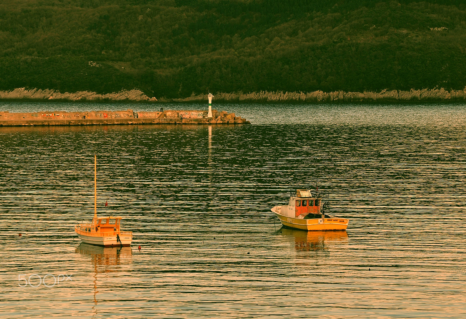 Nikon D5000 sample photo. ** photography