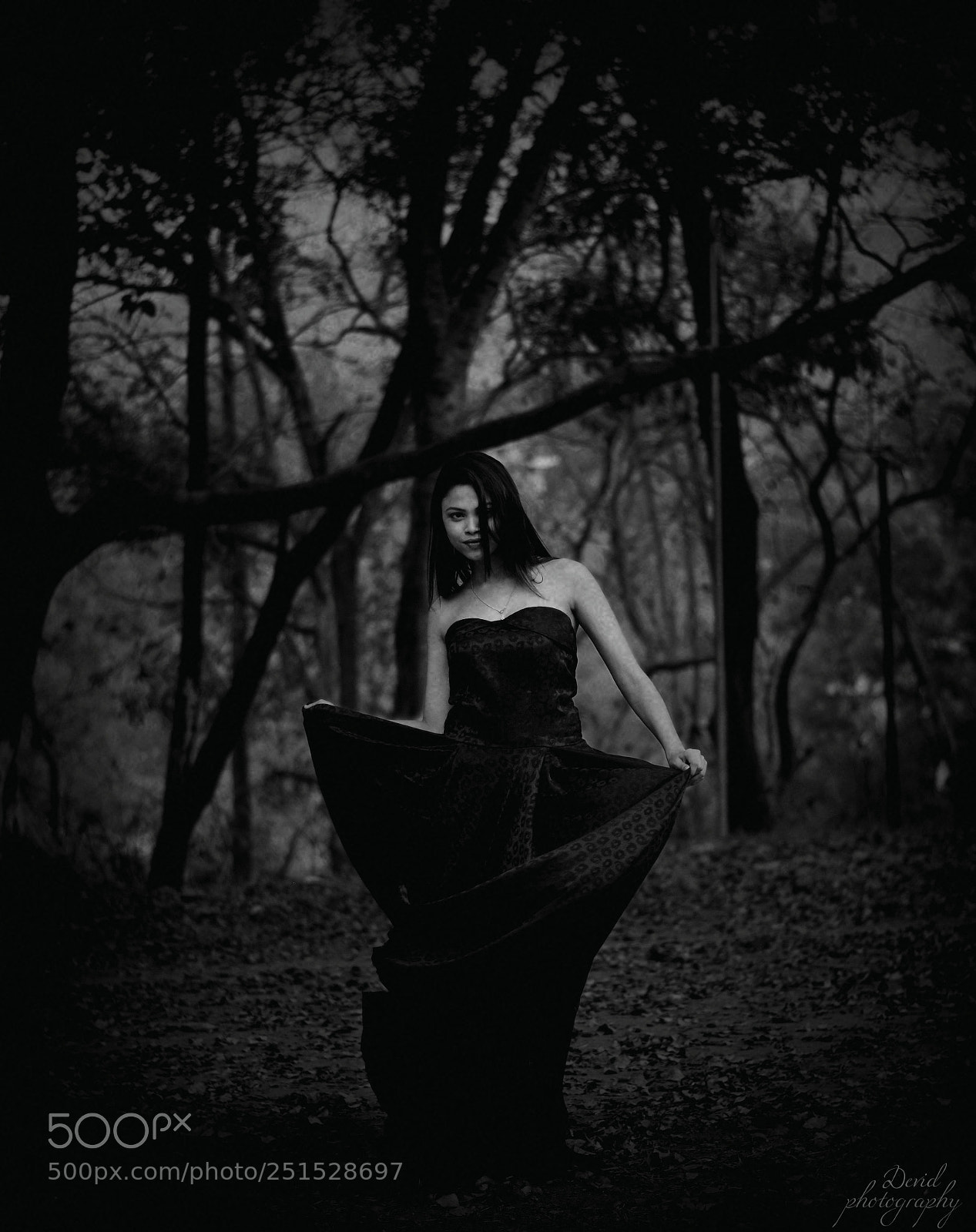 Nikon D5300 sample photo. The dark queen photography