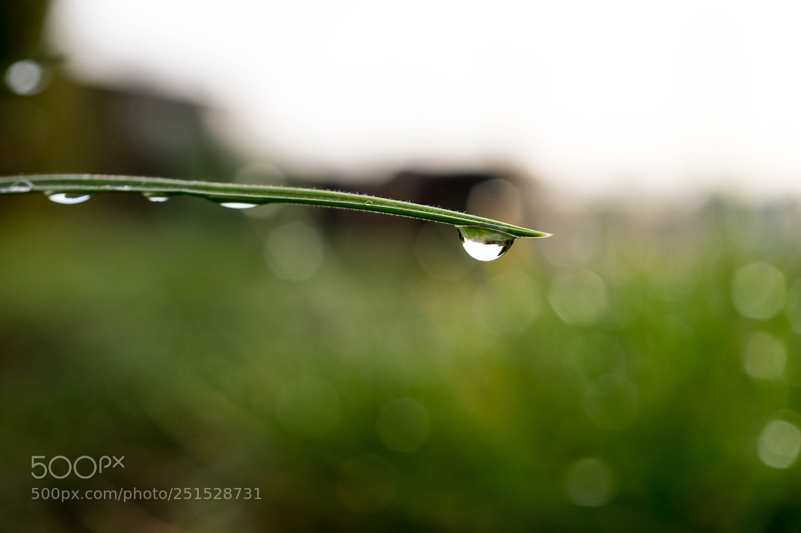 Sony a6000 sample photo. Drop photography