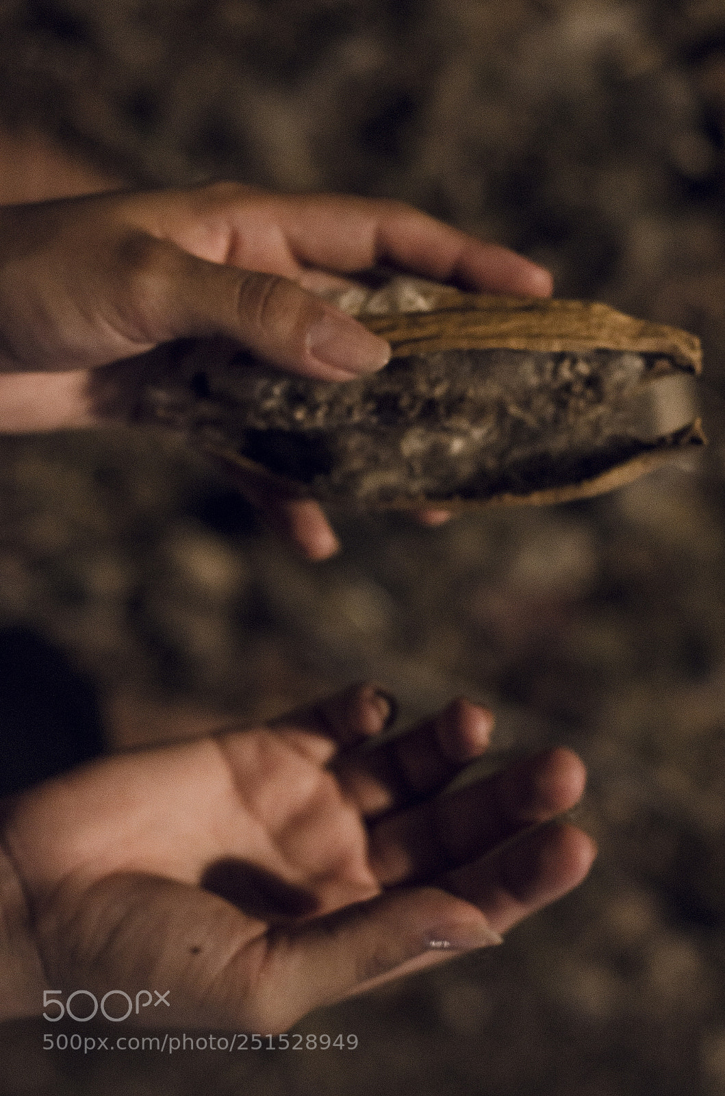 Nikon D5100 sample photo. Ceiba photography
