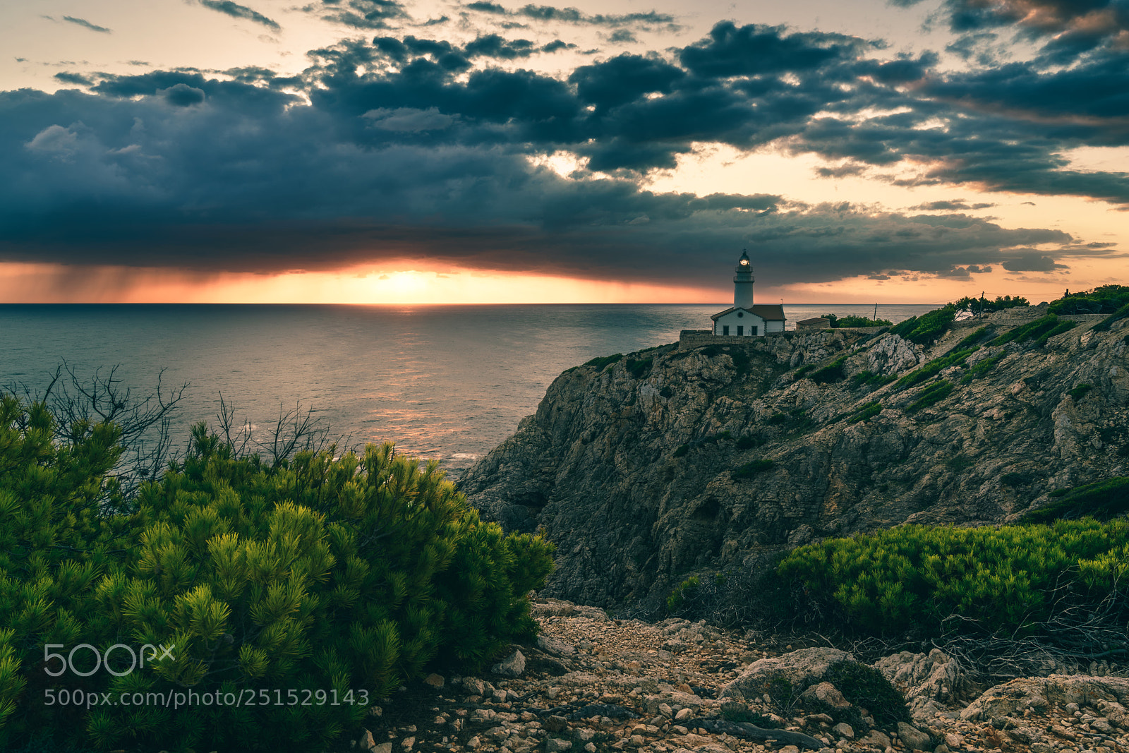 Sony a7R II sample photo. Http://weinheim.photos photography