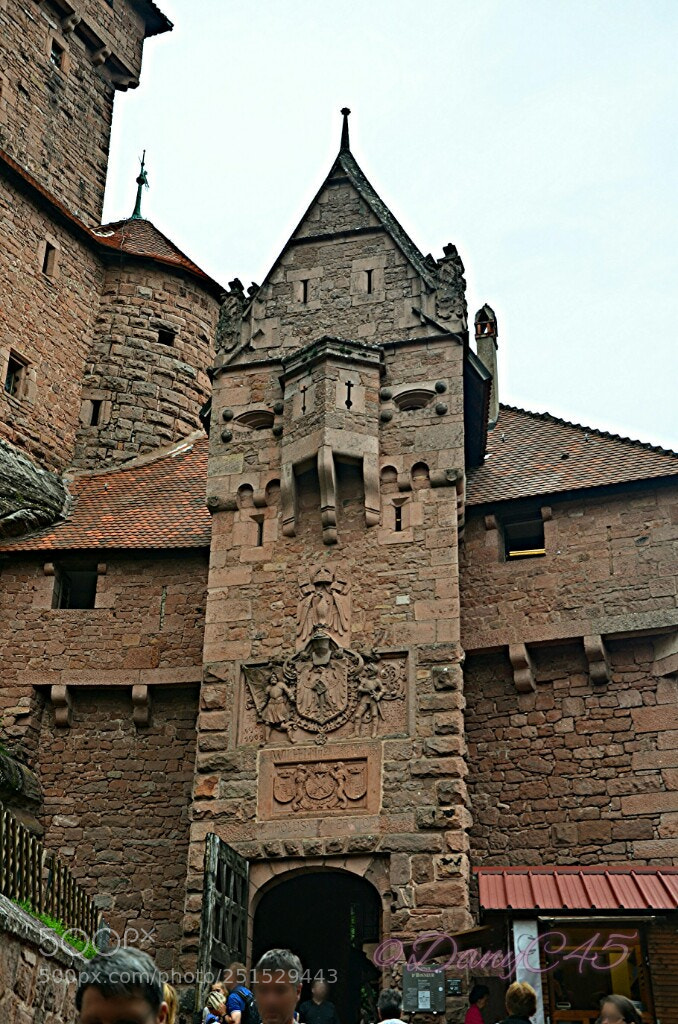 Nikon D5100 sample photo. Alsace (25) photography