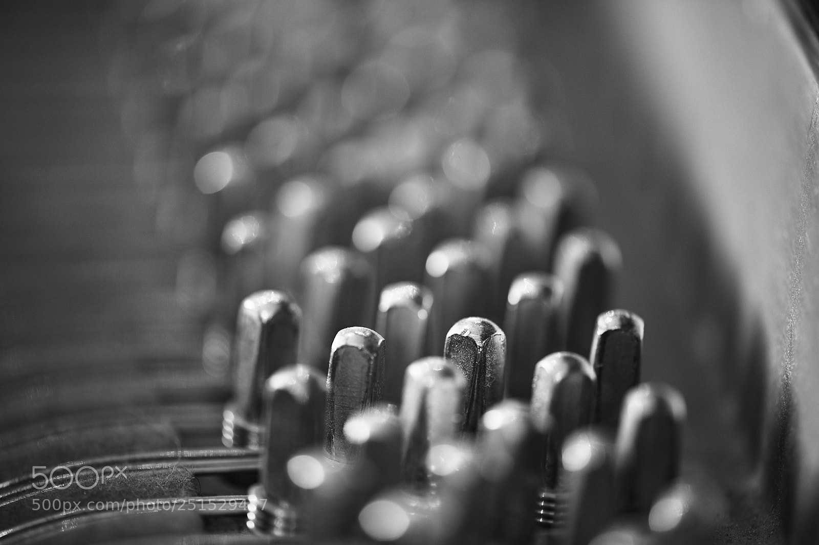 Nikon D3S sample photo. The army of tuning photography