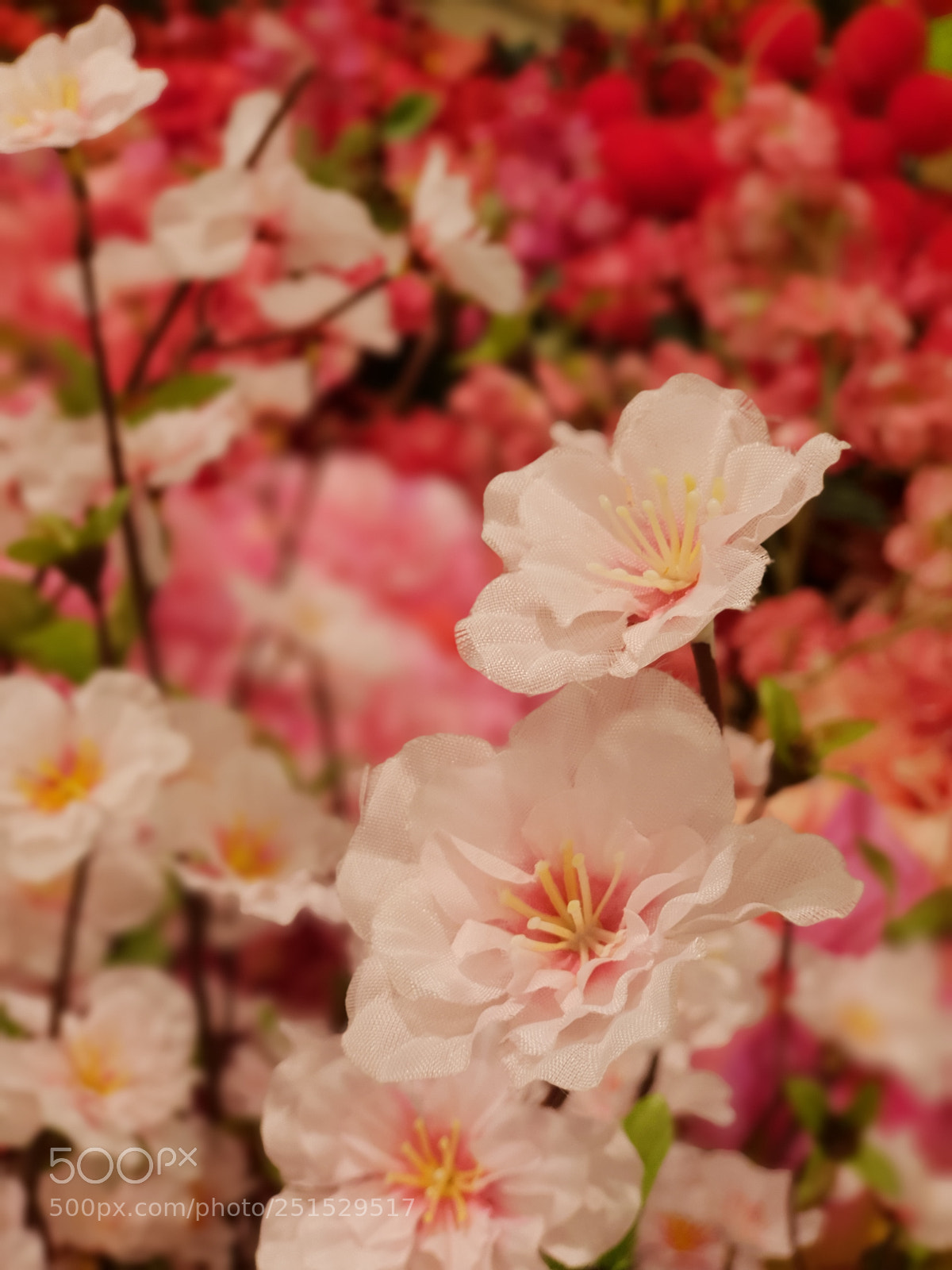 Samsung Galaxy S9+ sample photo. Bunch of flowers photography