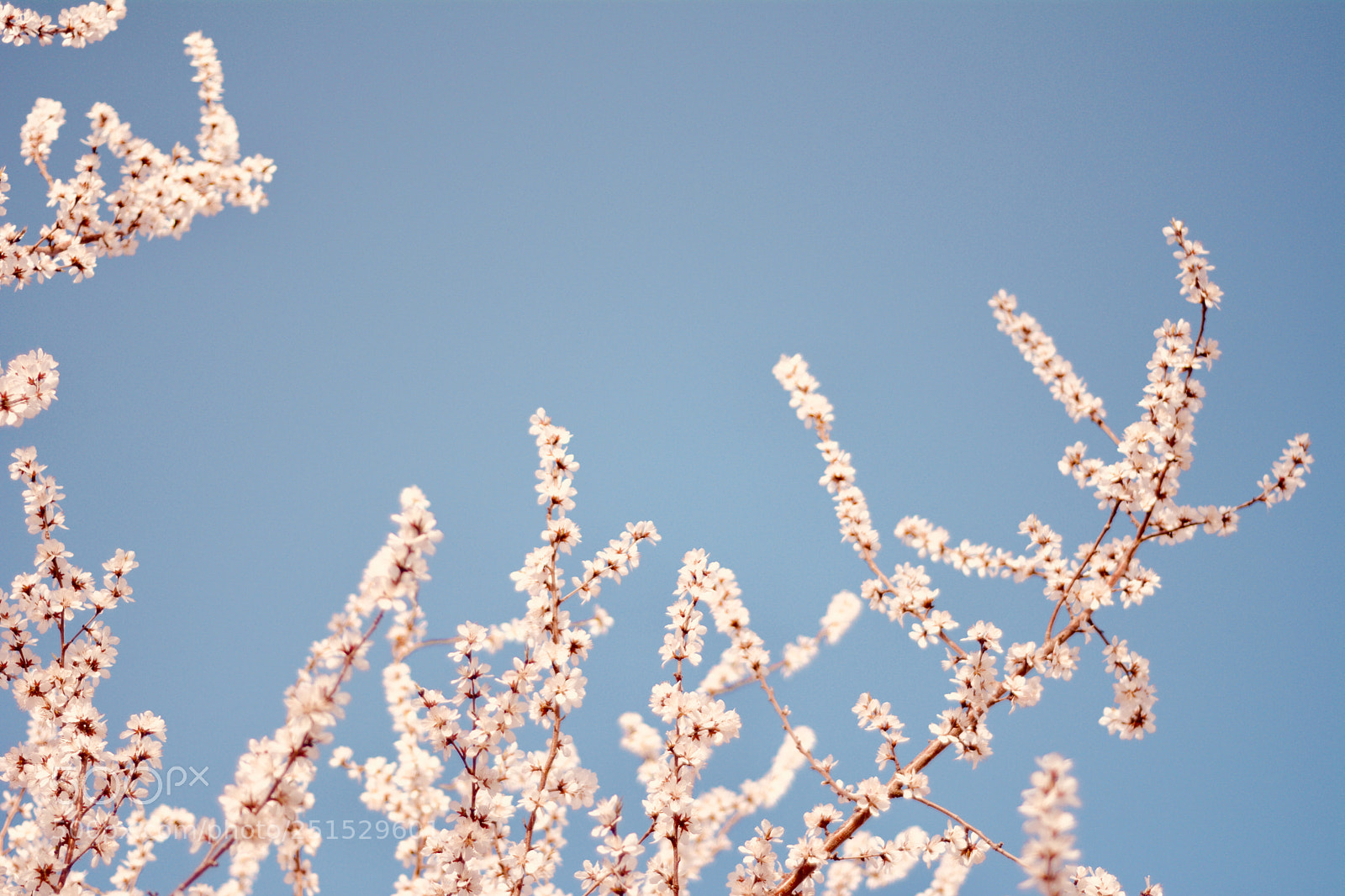 Nikon D7100 sample photo. Just think of the photography