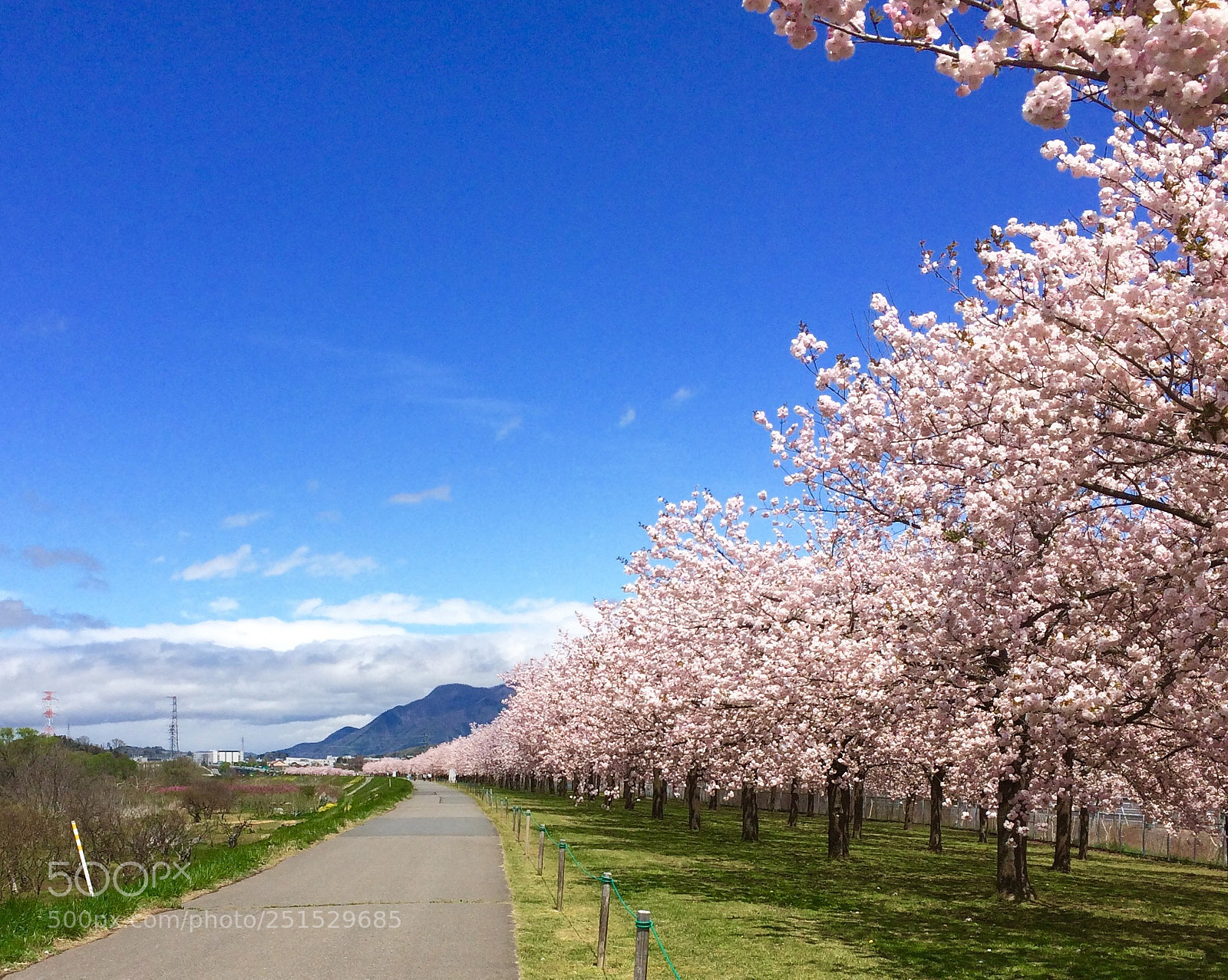 Apple iPhone 5s sample photo. Untitled photography