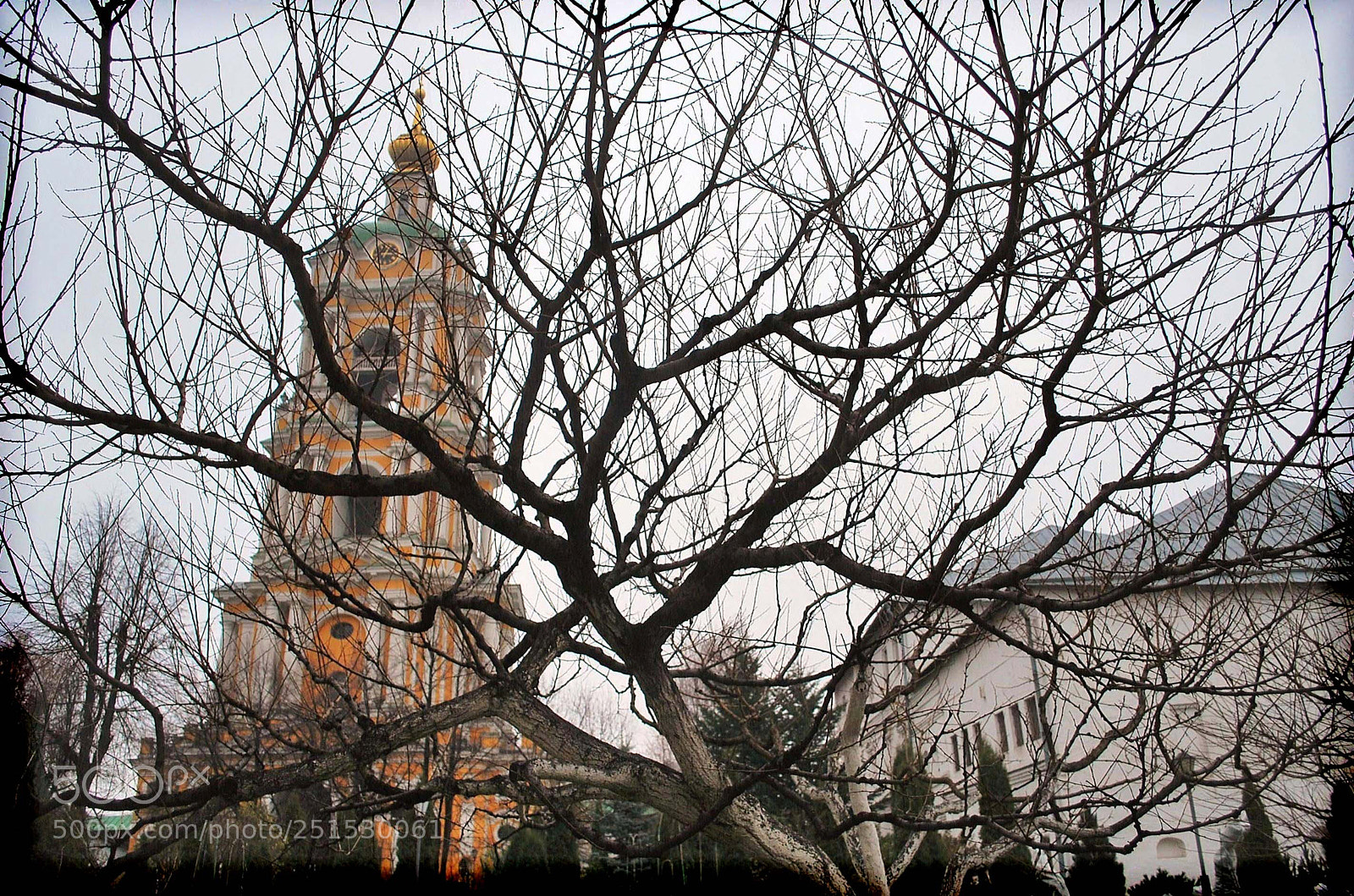 Nikon D60 sample photo. Beabeorig photography