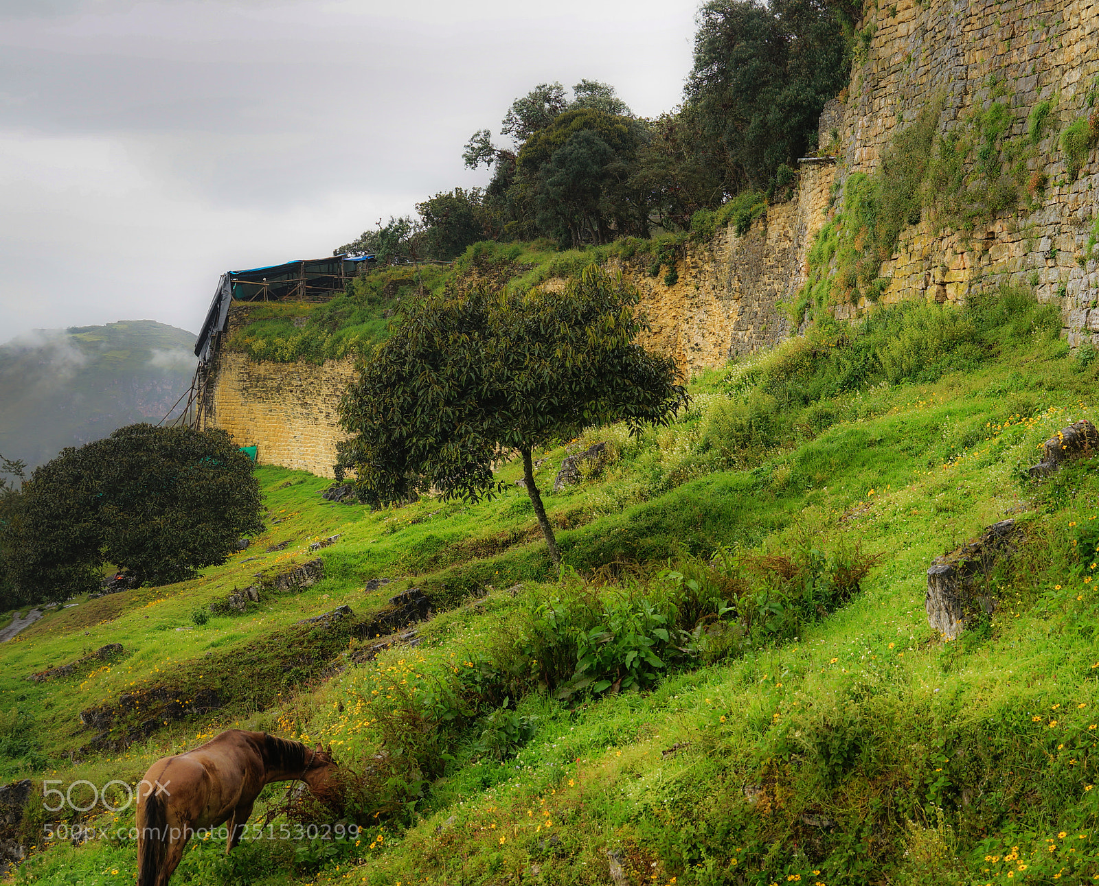 Sony Alpha NEX-5R sample photo. Walls of kuelap photography