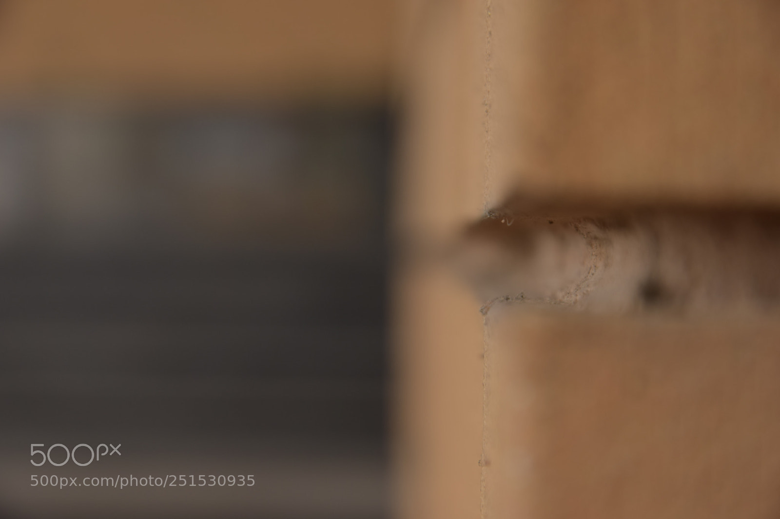 Nikon D3300 sample photo. Focus photography